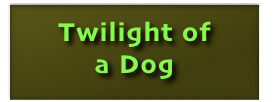 
Twilight of 
a Dog