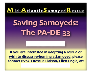 
Mid-AtlanticSamoyedRescue



Saving Samoyeds:
The PA-DE 33




[ click to read article ]



If you are interested in adopting a rescue or wish to discuss re-homing a Samoyed, please contact PVSC’s Rescue Liaison, Ellen Engle, at: ellene347@gmail.com