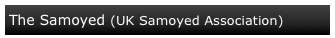 The Samoyed (UK Samoyed Association)