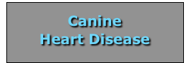 

Canine
Heart Disease