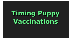 





Timing Puppy Vaccinations