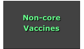 






Non-core
Vaccines