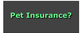 






Pet Insurance?