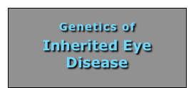 Genetics of 
Inherited Eye Disease