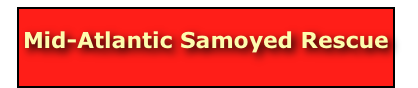 

Mid-Atlantic Samoyed Rescue